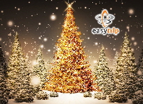 easytrip3