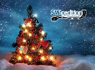 smspedition